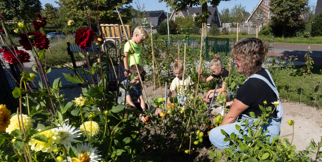 Groen schoolplein als sociaal en duurzame verbinder