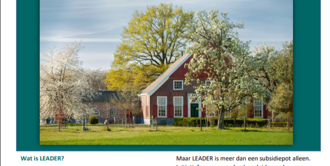 Handout LEADER Achterhoek – Hoe werkt het?